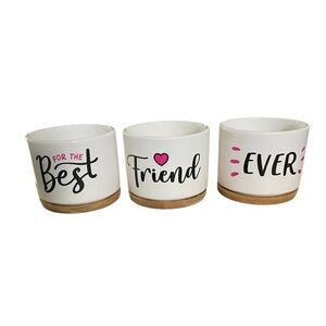 Best Friend Ever Set of 3 Ceramic Planters with Wood Drain Dishes